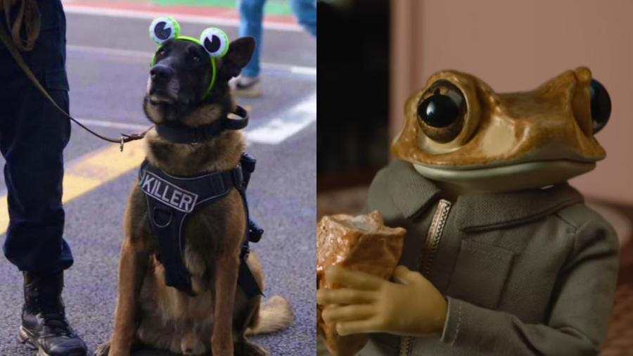 Perrito disfrazado de &ldquo;Concho&rdquo; cautiva en los conciertos de Bad Bunny en CDMX