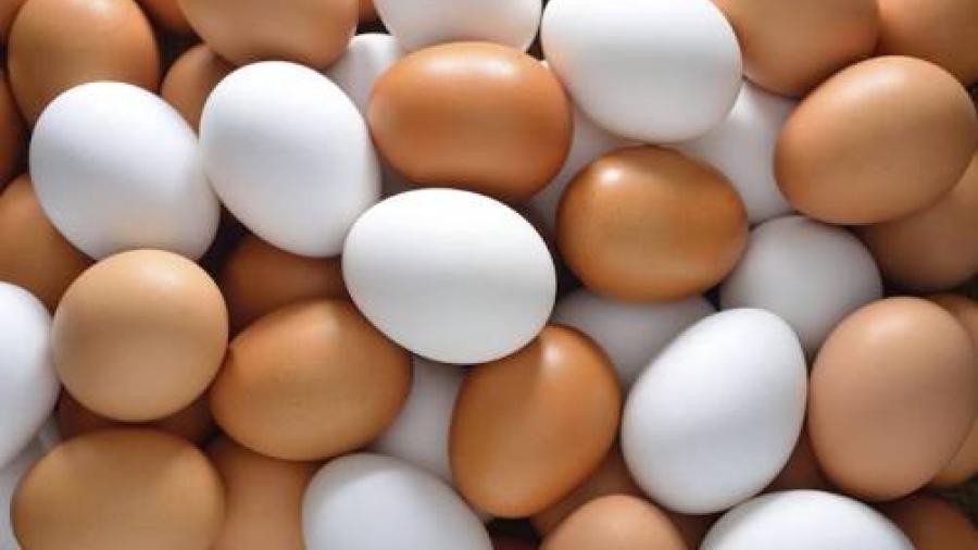 Se eleva el precio del huevo en Matamoros