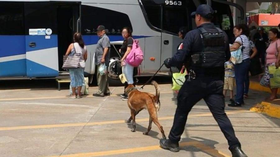 Guardia Estatal redobla vigilancia en centrales de autobuses