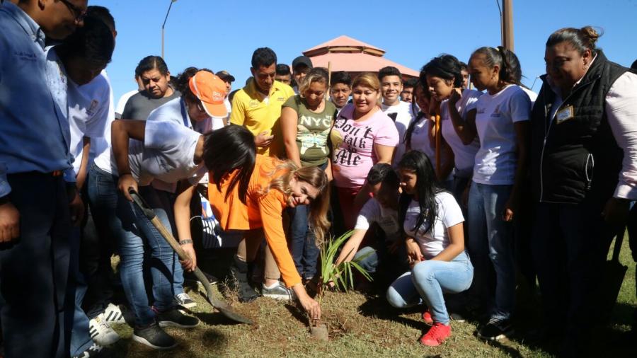 Promueve cultura ambiental Voluntariado Joven