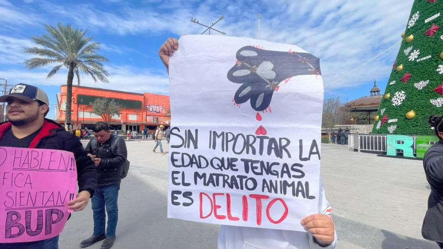 Piden mano dura contra quien maltrate animales