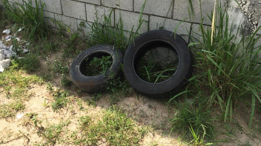 Gestionan la instalaci&oacute;n de una planta trituradora de llantas