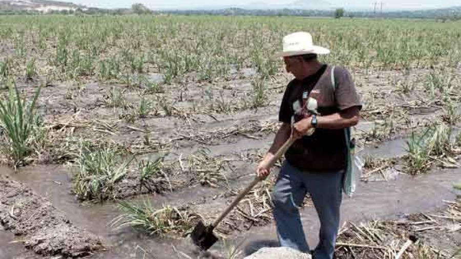 Lluvias terminan con temporada de sequía