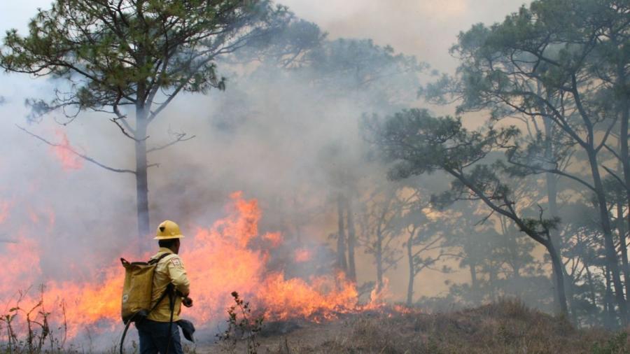 La temporada de incendios forestales dura 9 meses aproximadamente