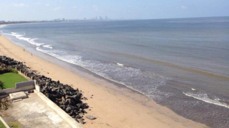 Ecologista logra limpiar una de las playas más sucias de la India 