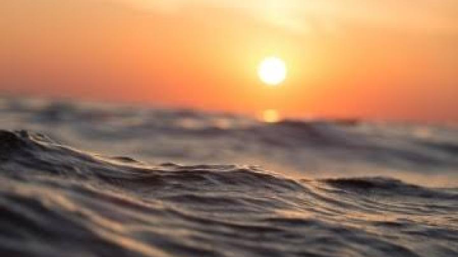 ¡Hasta el agua tiene calor! Océanos rompen record de temperaturas