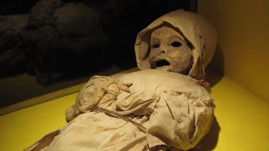 Limpian la casa de su madre fallecida y encuentran un cuerpo