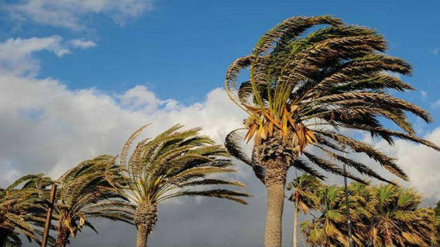 Así estará el clima hoy martes 28 de octubre en Tamaulipas