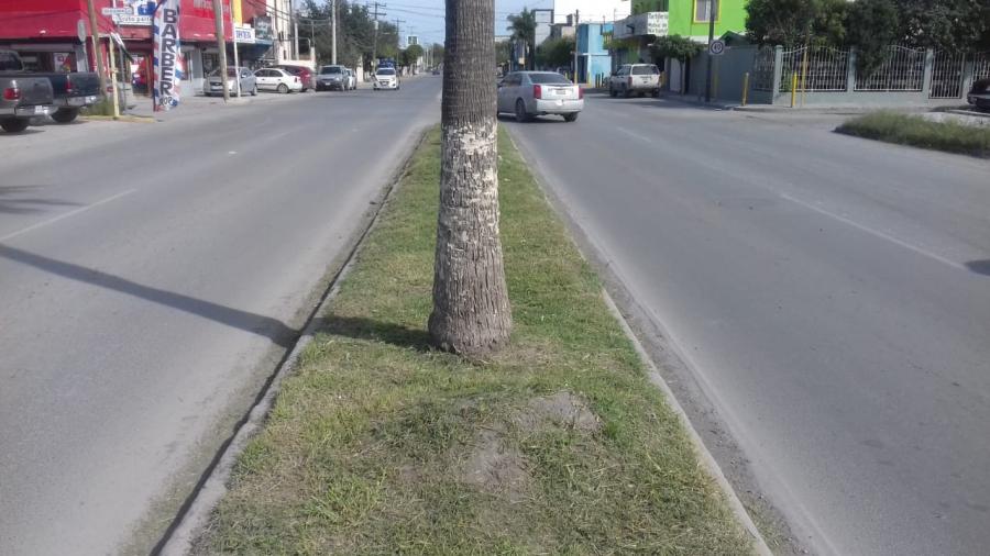 Embellecen cuadrillas calles y bulevares