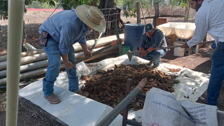 Promueven producci&oacute;n y uso de lixiviados en Xicot&eacute;ncatl