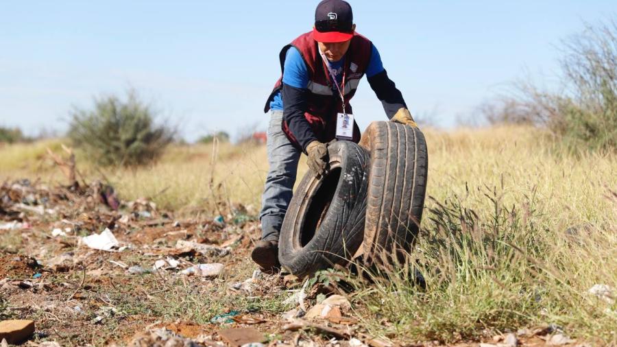 Aplican multas de hasta 9 mil pesos por contaminar o maltratar animales