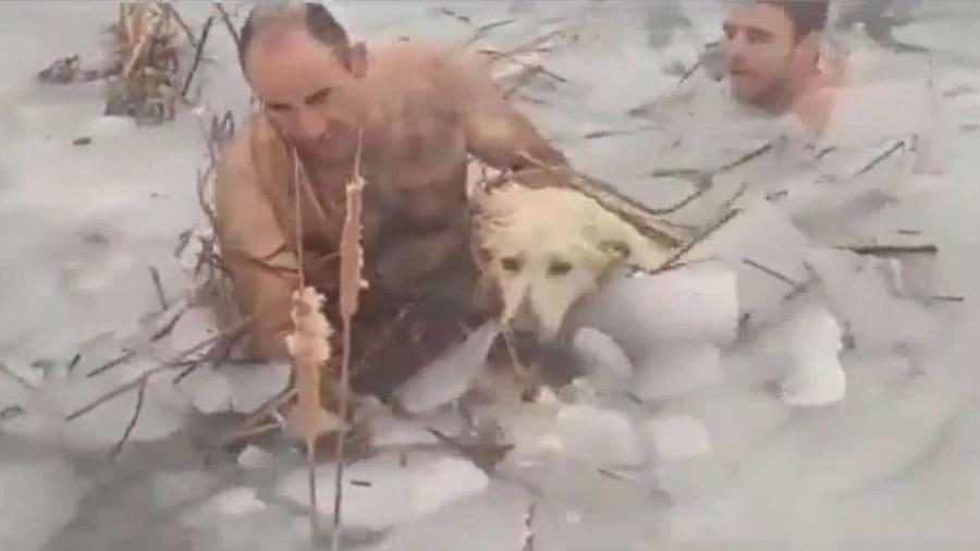Policías salvan a perrito de un lago congelado en España