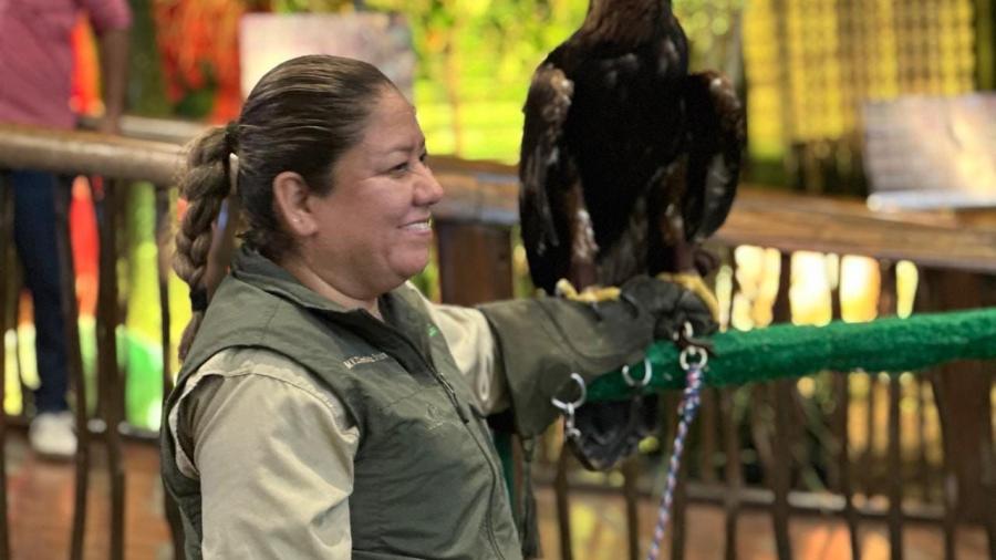 Impulsa Comisión de Parques la preservación del jaguar y su hábitat