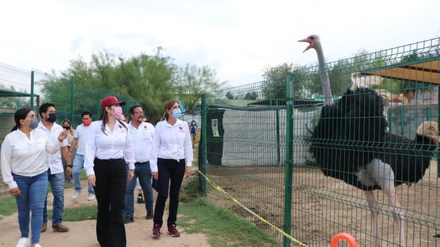 Trabajar&aacute; gobierno municipal por un mejor zool&oacute;gico 