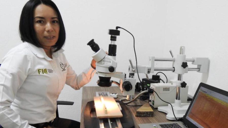 Investigadores de la UAT obtienen certificación nacional