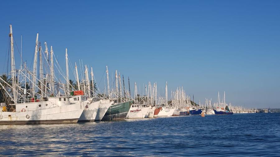 Desfilarán barcos camaroneros por playa de Miramar