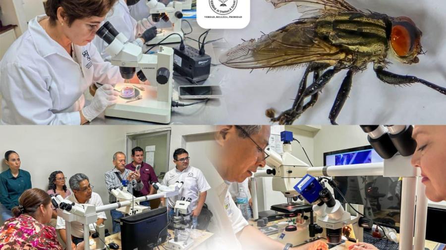 Colabora la UAT en medidas preventivas contra el gusano barrenador
