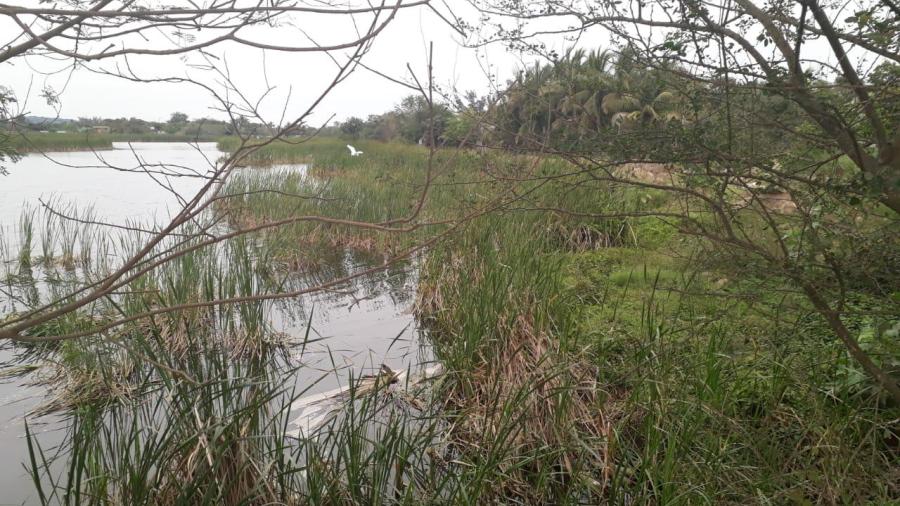 Continua relleno de lagunas en Altamira