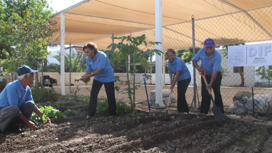 Reconocen trabajo de &ldquo;Vigilantes Ecol&oacute;gicos&rdquo;