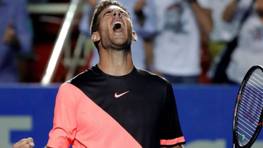 Del Potro vence a Thiem y avanza a semifinal del Abierto