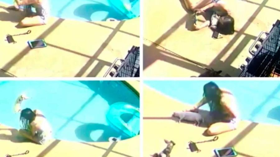 Intencionalmente, mujer ahoga en piscina a perro chihuahua 