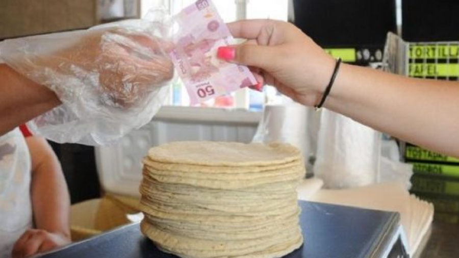 Kilo de tortillas alcanzaría los 20 pesos