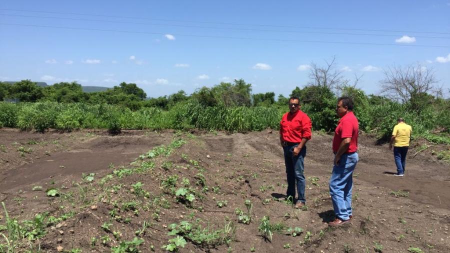 A punto de iniciar la construcción de la Sala de Extracción de Miel en Llera