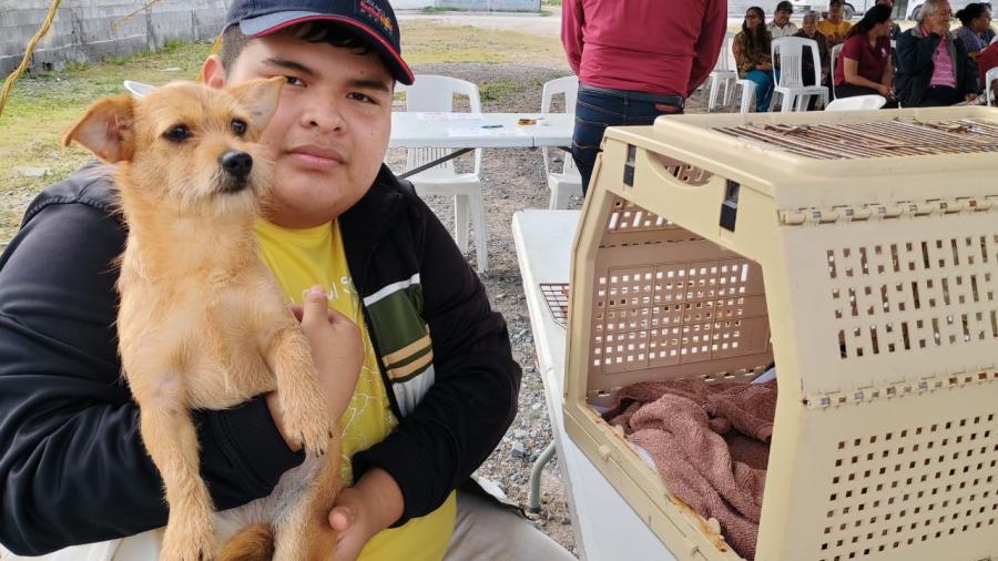 Avalan ciudadanos mejora en calidad de vida para animales en Reynosa