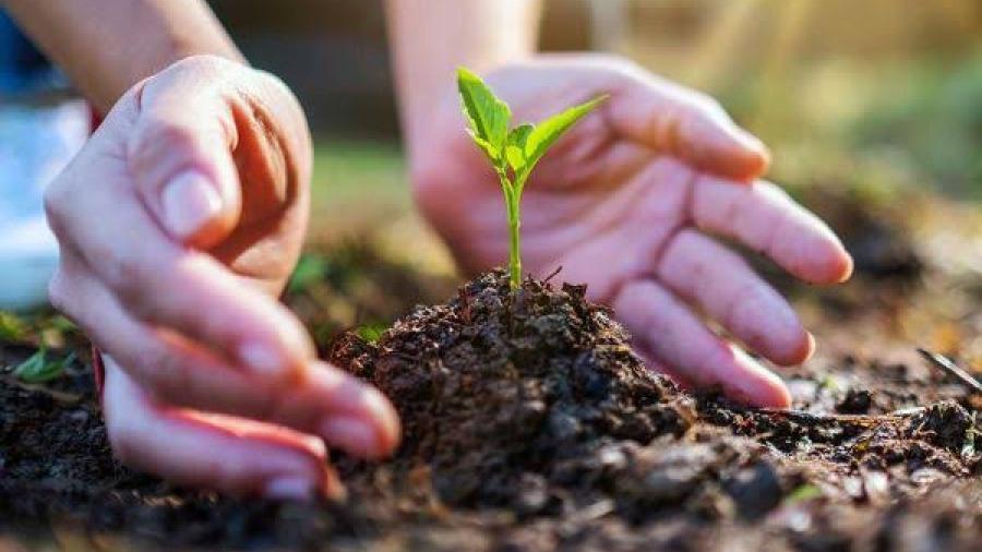 Gozar de un medio ambiente limpio ya es parte de los Derechos humanos