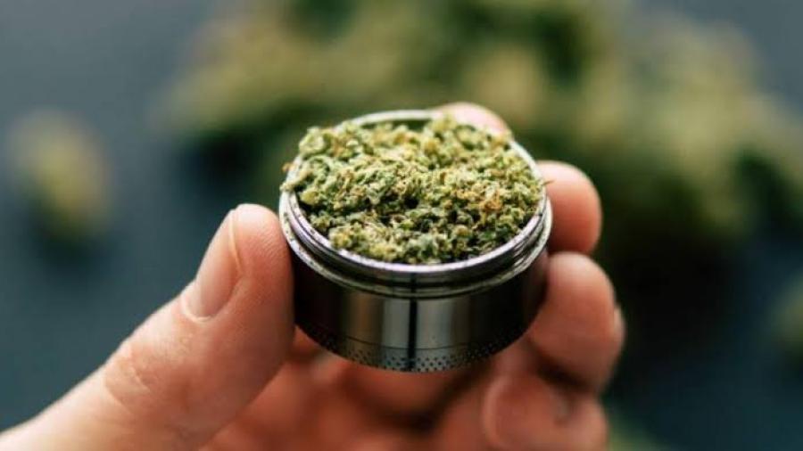 Corte definirá el lunes prohibición a uso recreativo de la mariguana