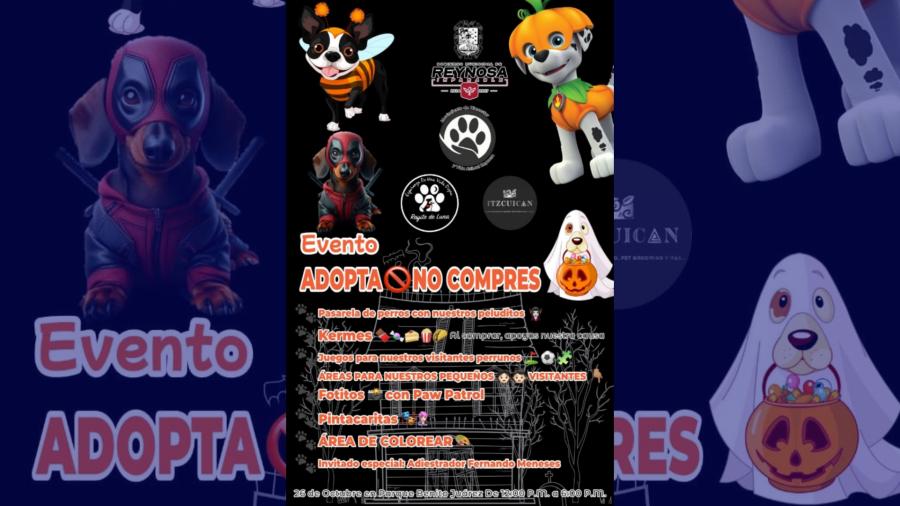 Adopta No Compres, Gobierno de Reynosa Invita a Evento para fomentar adopción de mascotas
