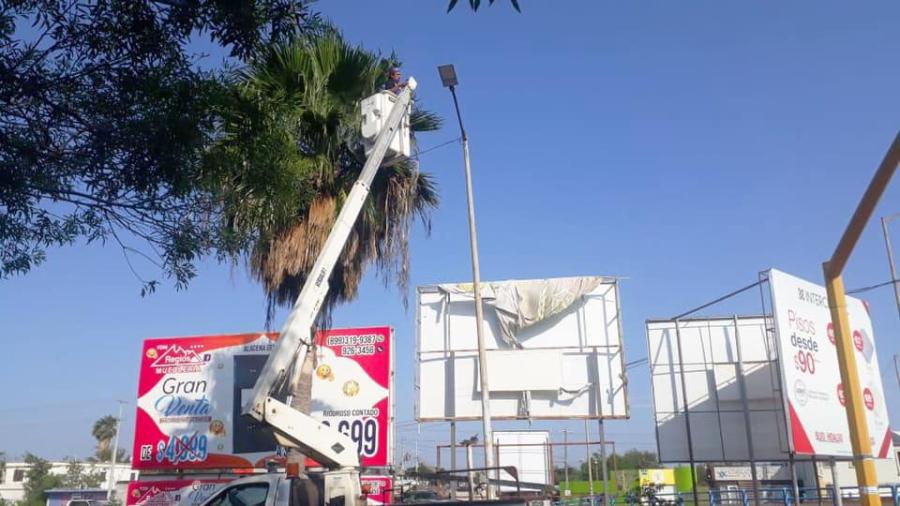 SSP realiza labores de mantenimiento en la ciudad