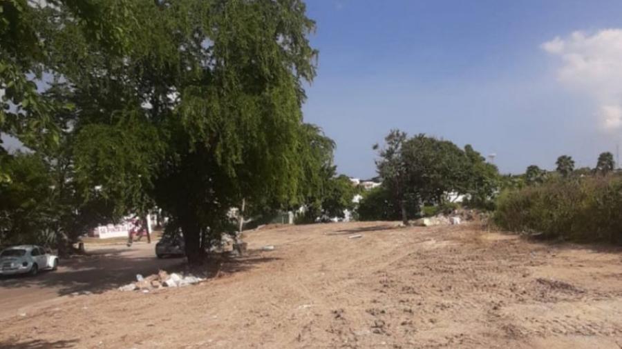 Rescata la PAUT predio en Tampico tras retiro de escombros y desechos