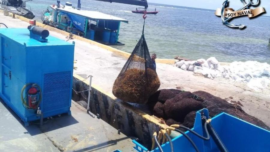 Recolecta Semar 13 mil toneladas de sargazo en Quintana Roo
