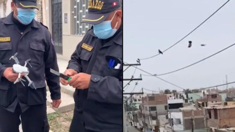 Rescatan con dron a paloma atorada en cables de electricidad