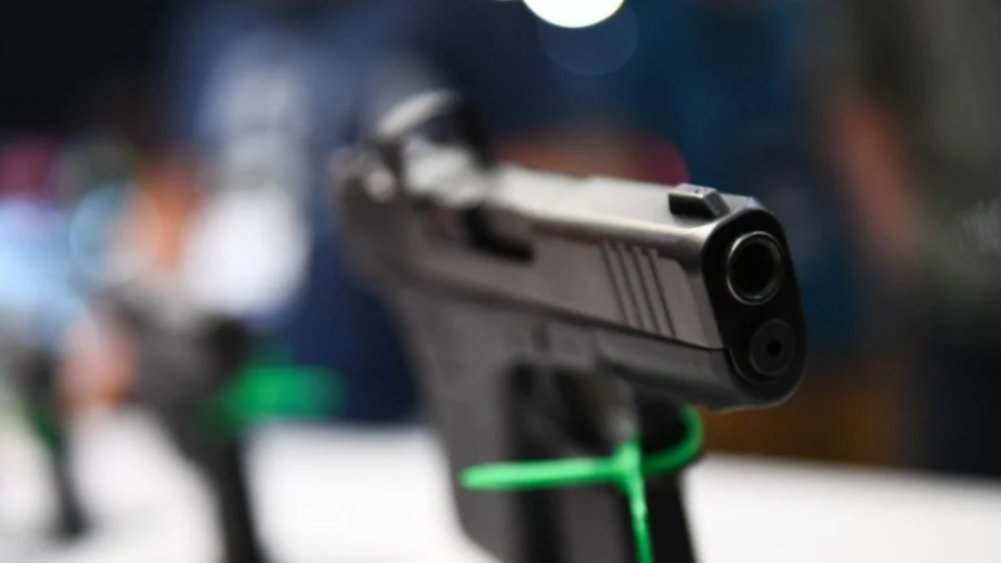 Presentará PRI propuesta para facilitar a familias acceso a armas de fuego ante inseguridad 
