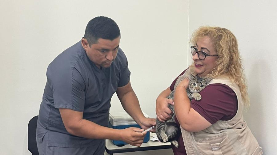 Arrancan jornada de vacunación antirrábica canina y felina