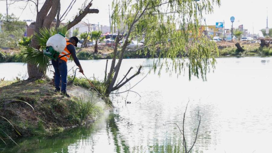 Fumigó el Gobierno de Reynosa calichera de Balcones de Alcalá 