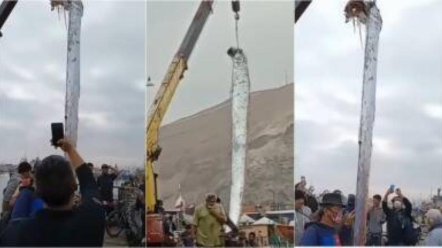 Enorme criatura marina se viraliza en TikTok