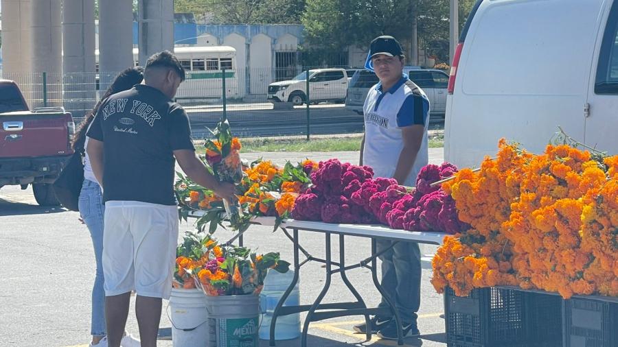 Sin aumento en el precio de cempasúchil y mano de león esta temporada