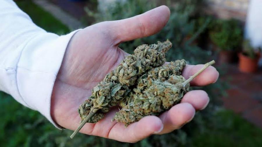 Reducen sanción por poseer cantidades pequeñas de marihuana, según Cámara de Representantes
