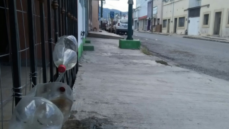 Hidratan animales callejeros