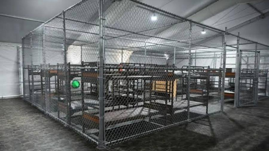 Consulado reporta más de 30 mexicanos detenidos en centro migratorio ‘Alligator Alcatraz’