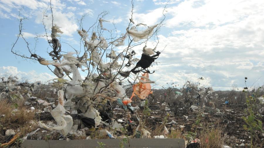 Estudian sanciones por bolsas de plástico en Tamaulipas