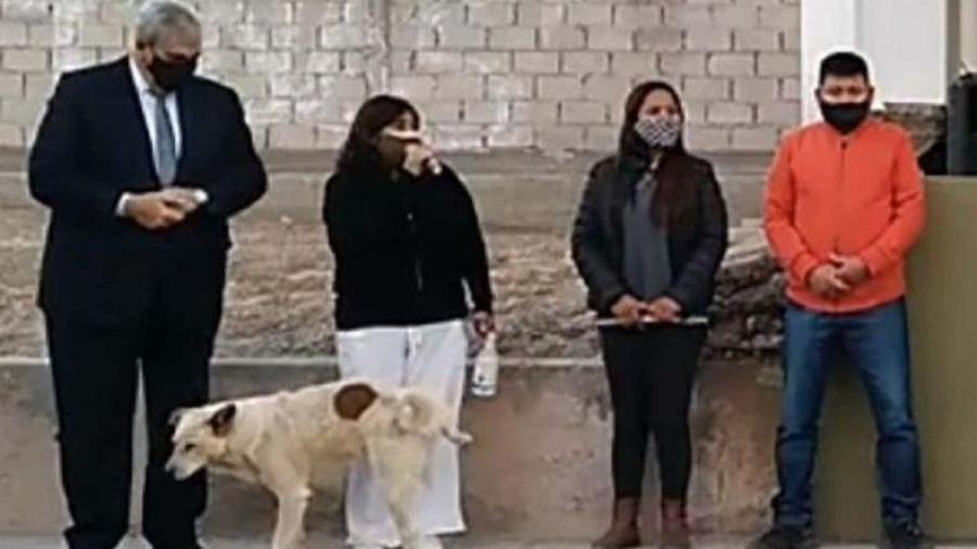 ‘Lomito’ orina en la pierna de una presidenta municipal argentina
