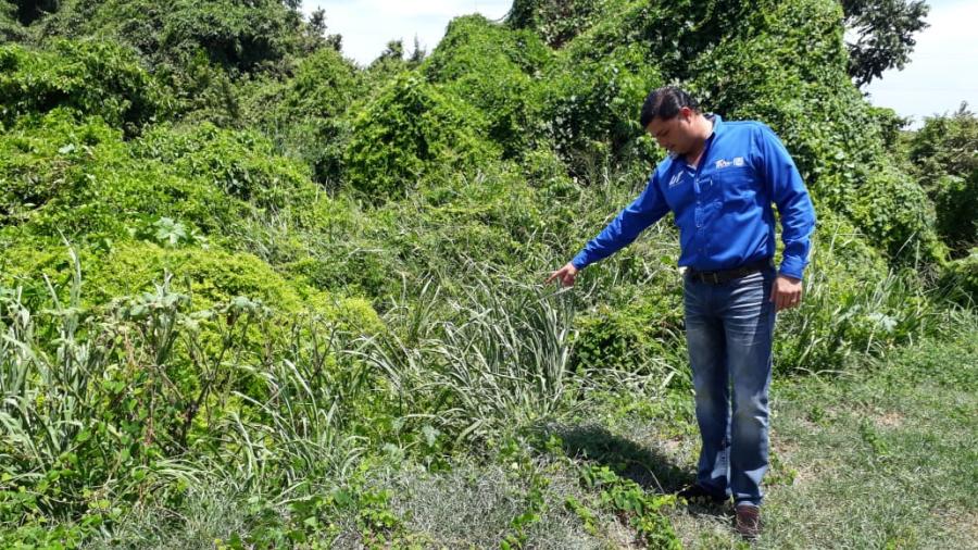 Promueven el cuidado al medio ambiente y la sustentabilidad.