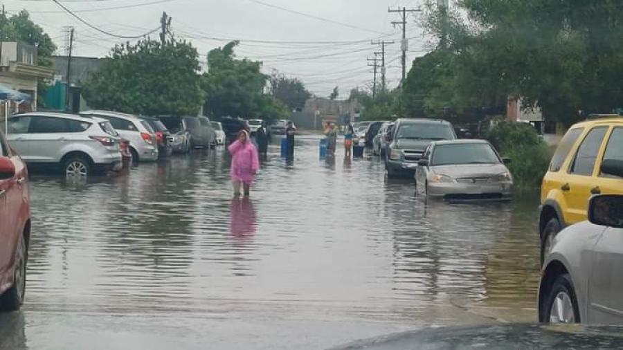 Prevén un incremento de casos de dengue después de las lluvias