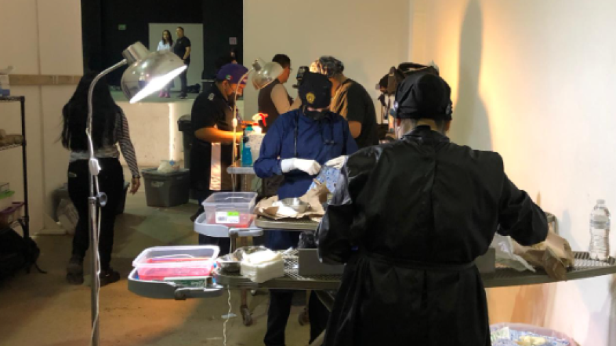 Superan meta en Primera Brigada de Esterilizaci&oacute;n para perros y gatos 