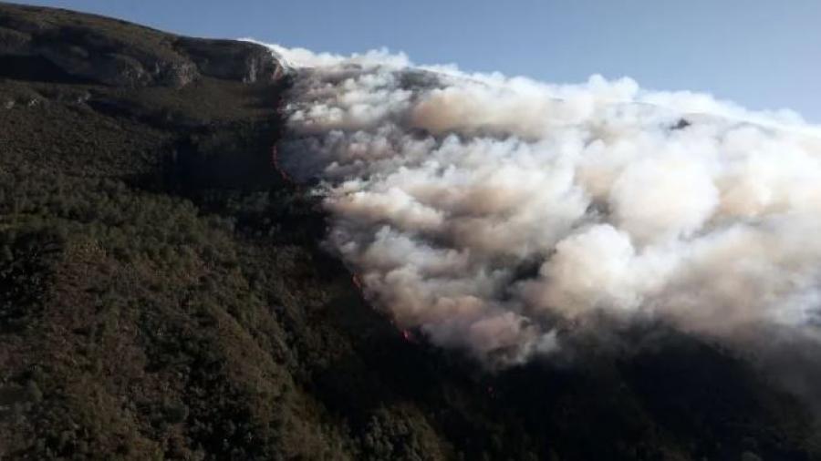 Incendio entre Coahuila y Nuevo León deja hasta el momento afectaciones en 7 mil hectáreas de bosque