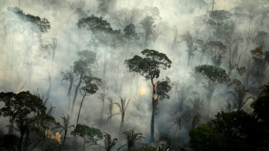 ¡Amazonía continúa en llamas! Registra Brasil mayor número de incendios desde 2007